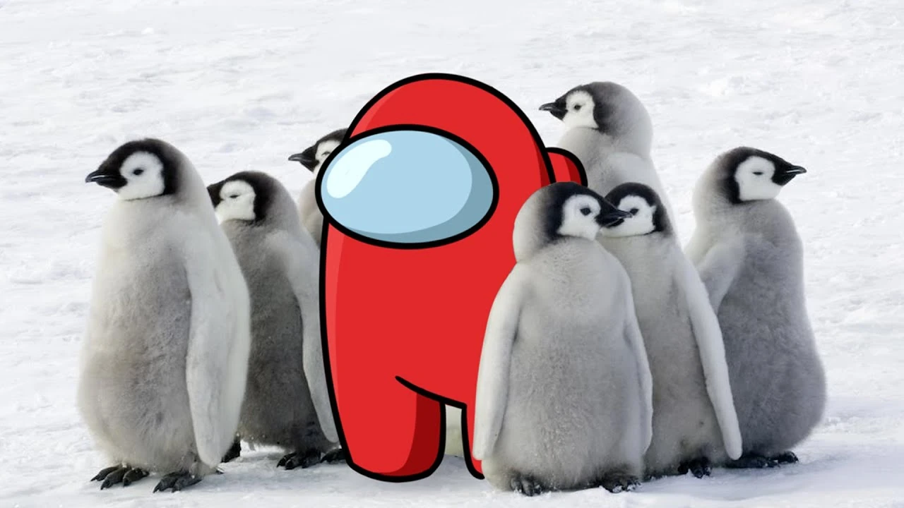 Амонг Ус в мире животных