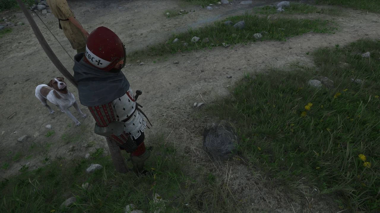 Гнезда в Kingdom Come: Deliverance 2 - как их достать и что в них можно найти