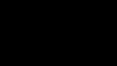 Красочное видео из Company of Heroes