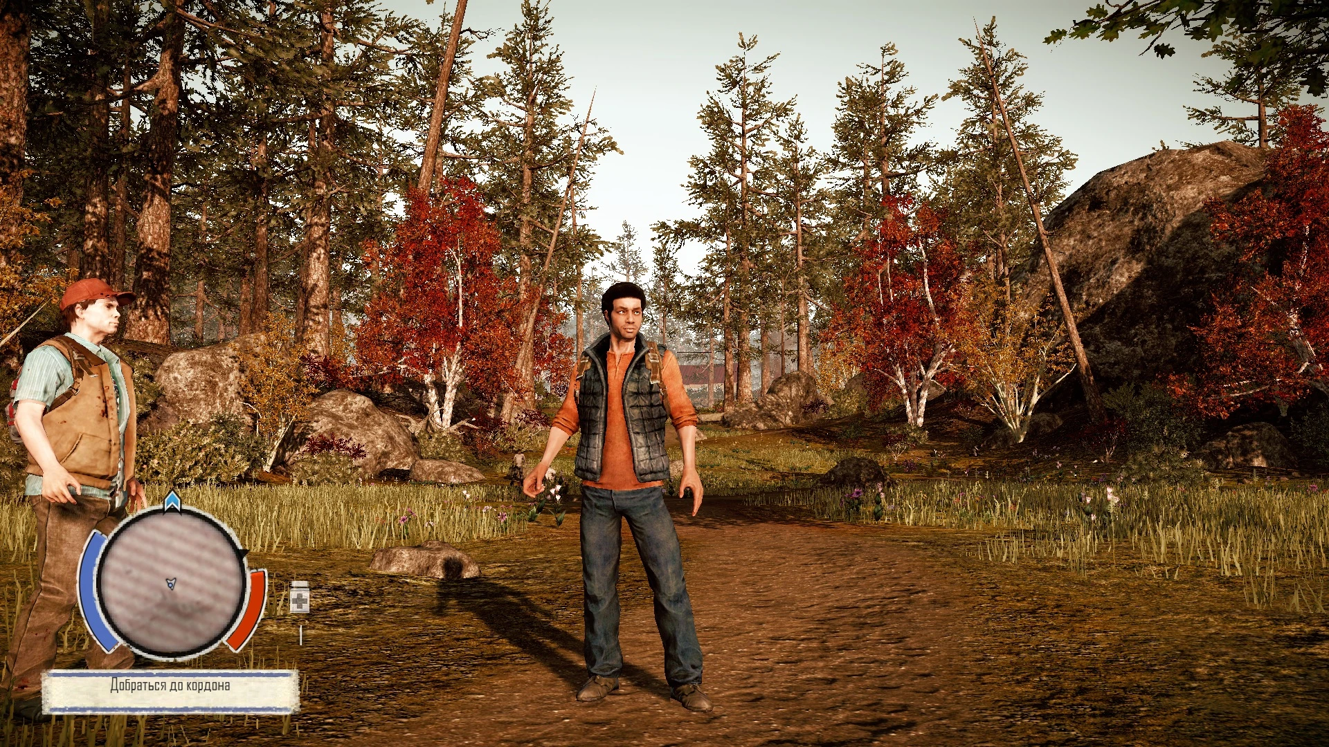 State of Decay "Нормальная Цветовая Гамма"