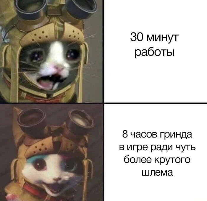 Такая работка по мне