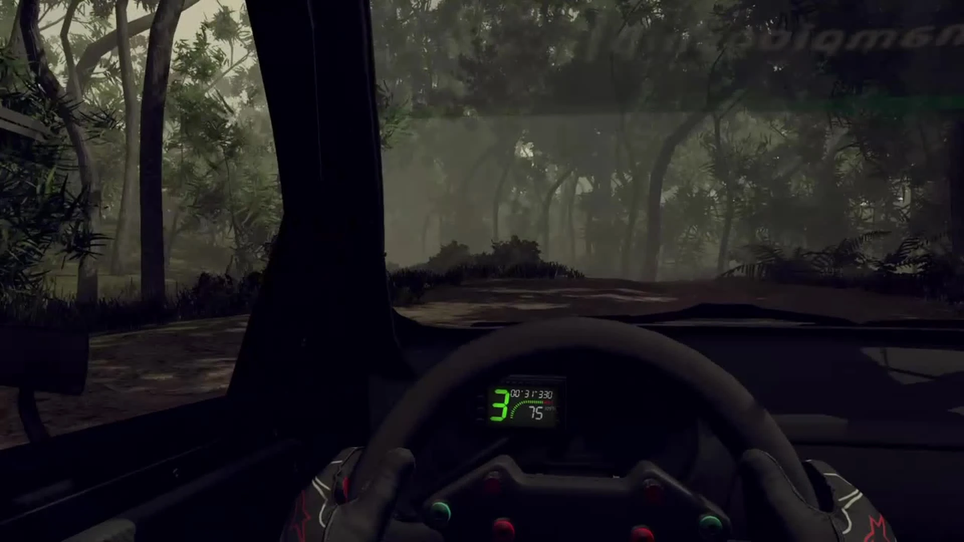 WRC 5 "Реалистичная передача езды"