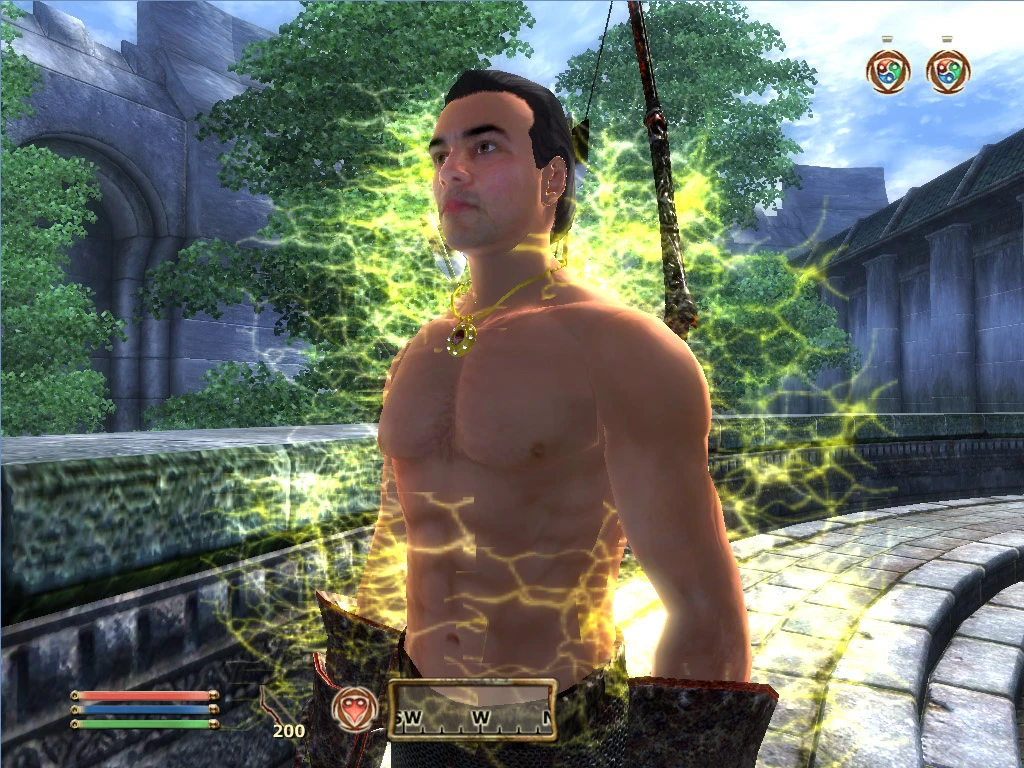 TES 4: Oblivion "Сумасшедшие амулеты 1.01"