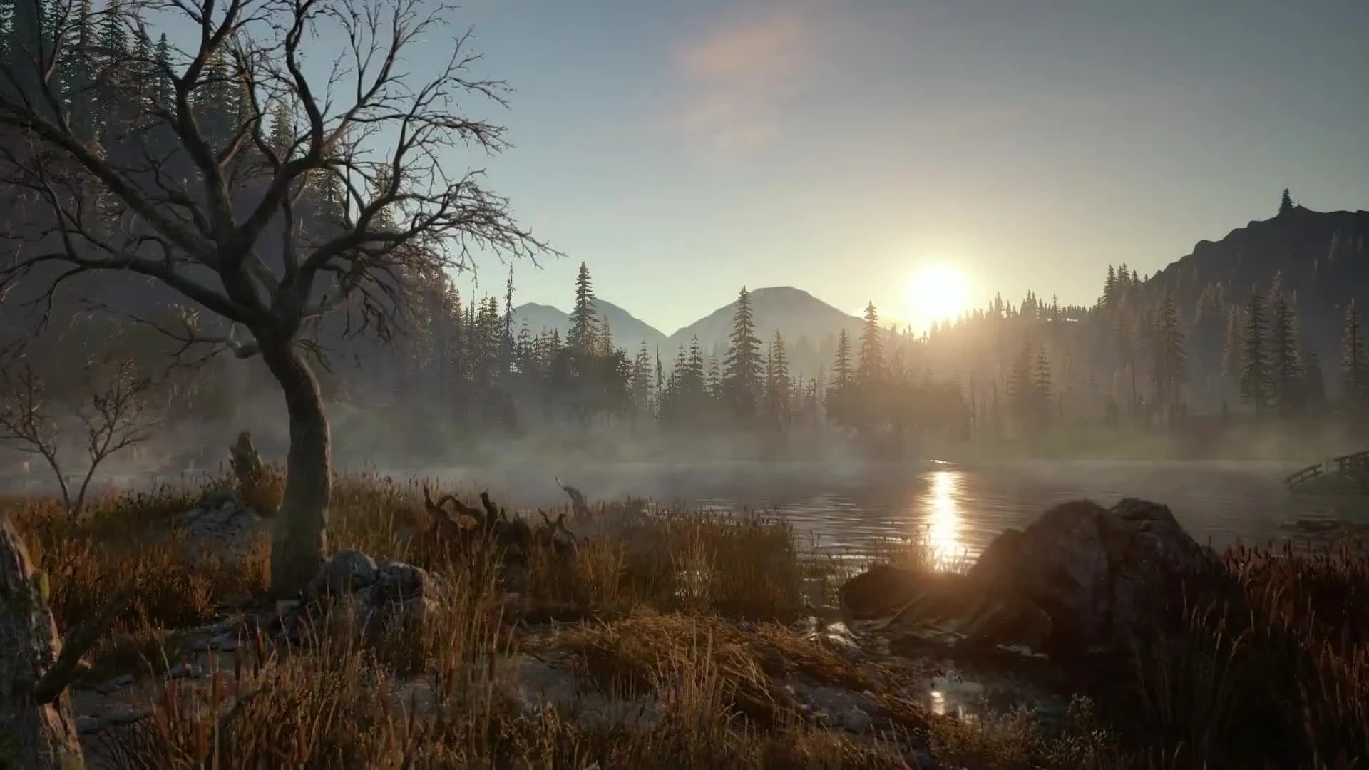 Days Gone (2019) - русский трейлер - озвучка VHS