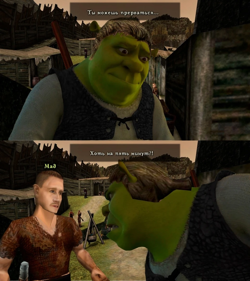 Один из самых надоедливых НПС