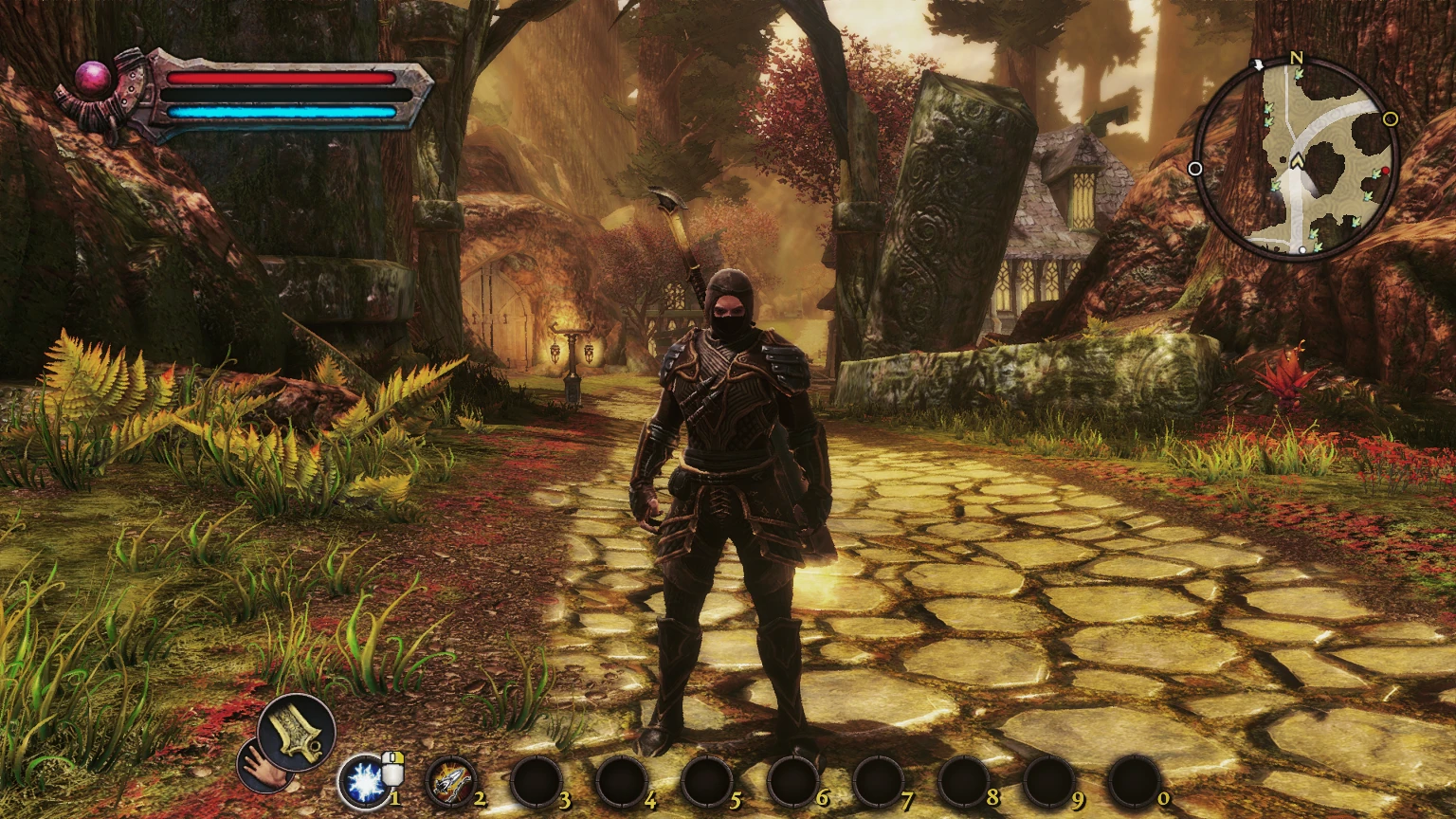 Kingdoms of Amalur: Re-Reckoning "Удаление мыла и зеленого фильтра"