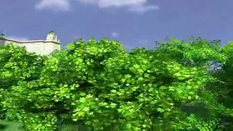 Lada Racing Club (растительность)