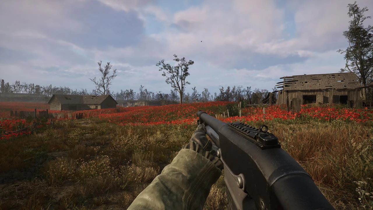 Прохождение квеста "Маковое поле" в S.T.A.L.K.E.R. 2 - где найти икону