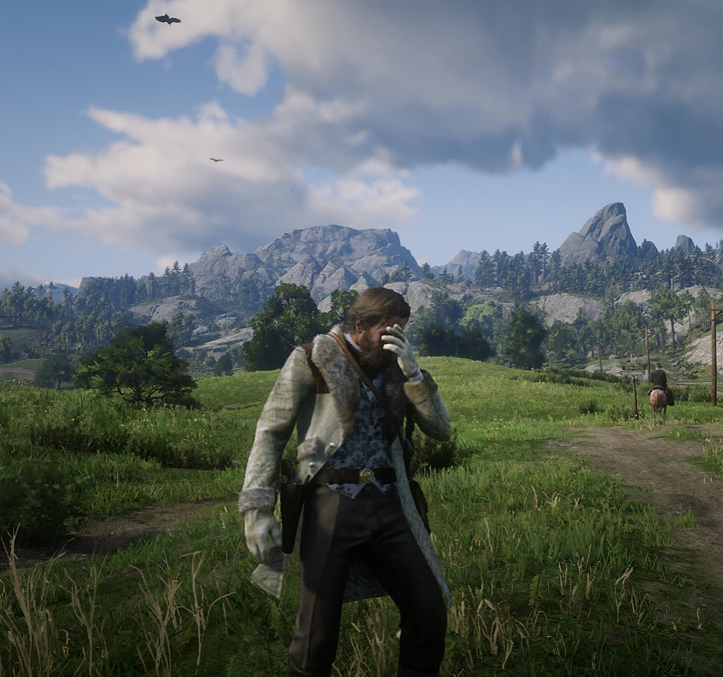 Red Dead Redemption 2 "Лечение травм"