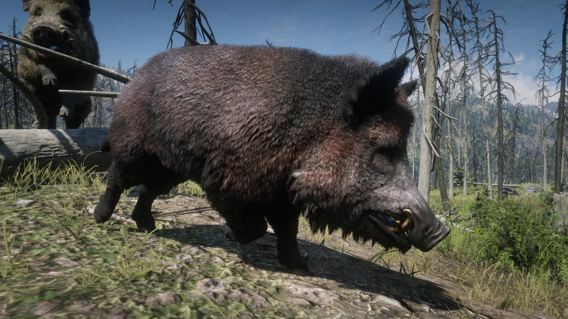 Red Dead Redemption 2 "Кабаны из онлайн-режима"