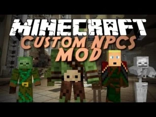 Minecraft: The Custom NPCs (для Minecraft 1.8)