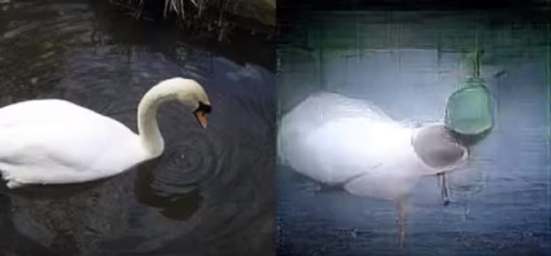 Компьютер научили визуализировать зрительные образы человека