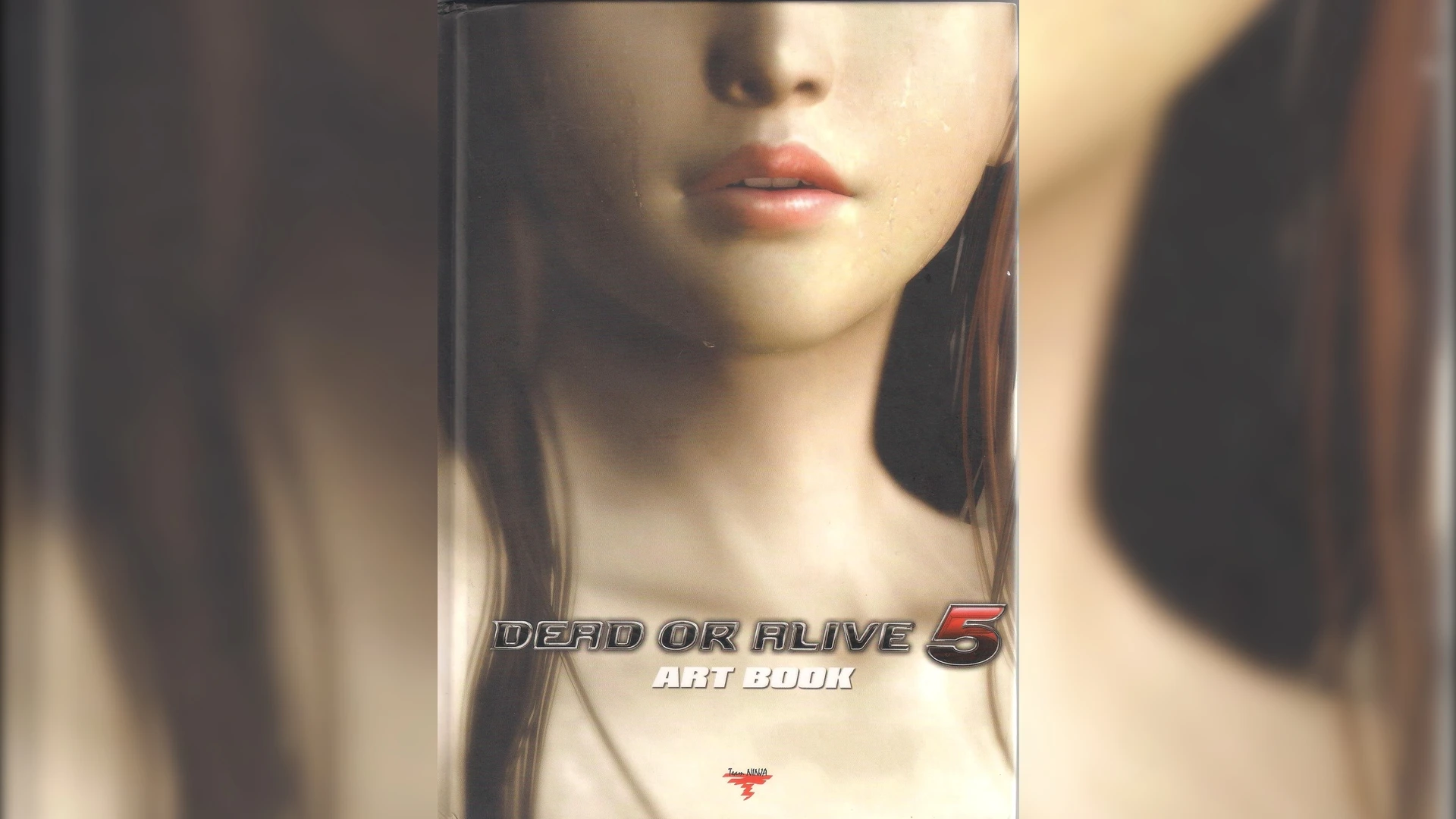 Dead or Alive 5 "Артбук на английском языке"