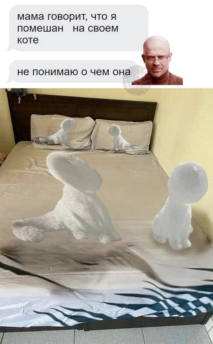 Когда помешан на своем коте