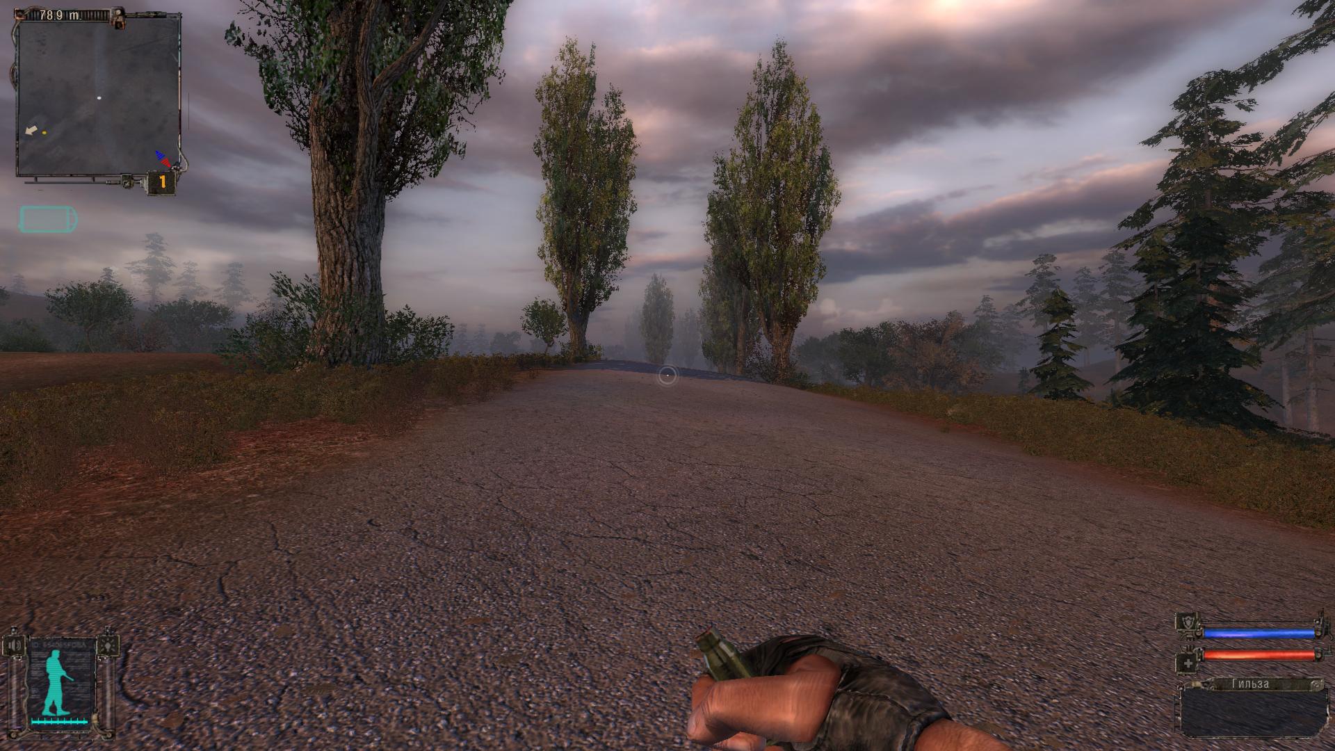 S.T.A.L.K.E.R.: Shadow of Chernobyl "Гильза вместо болта"