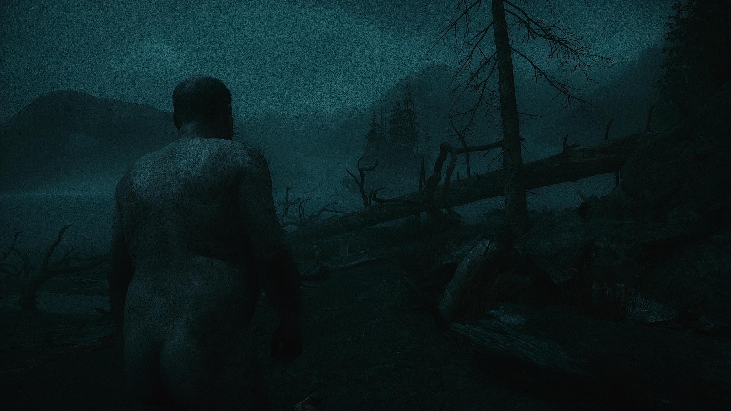 Alan Wake 2 "Пресет на резкость для DLSS"