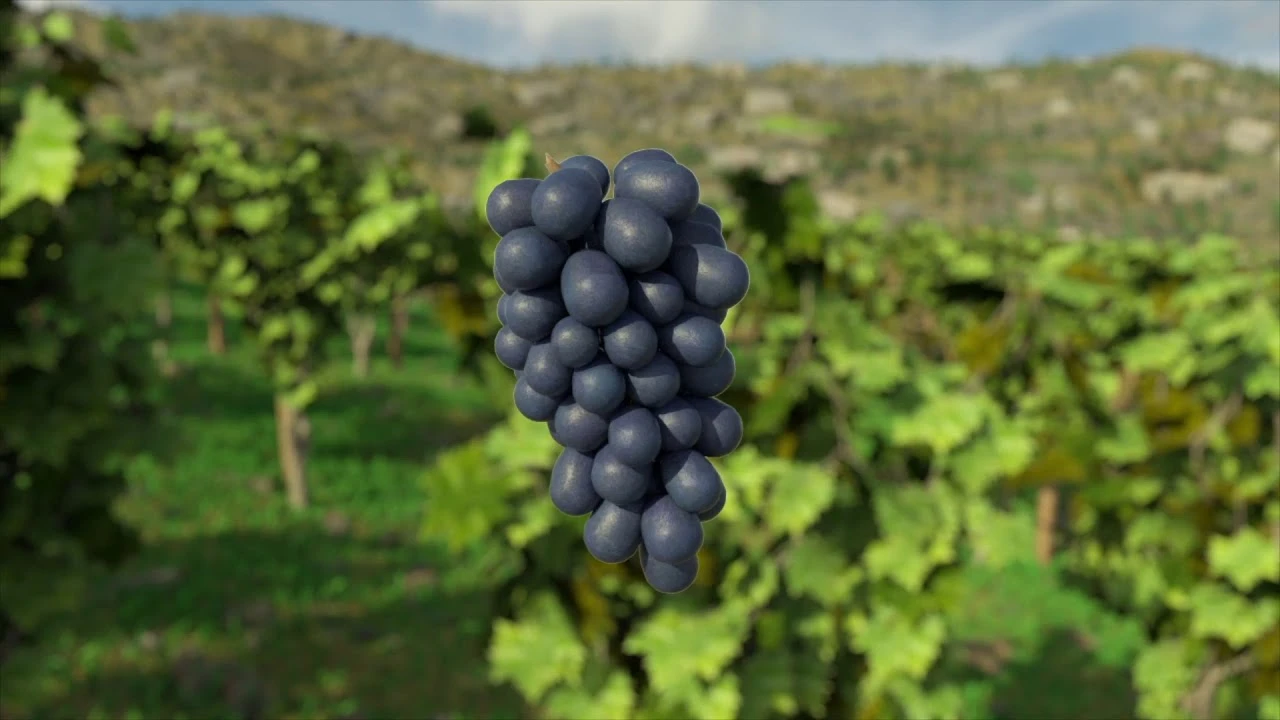 Анонсирован симулятор виноделия "Winery Simulator"