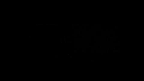 Genesis Rising: The Universal Crusade