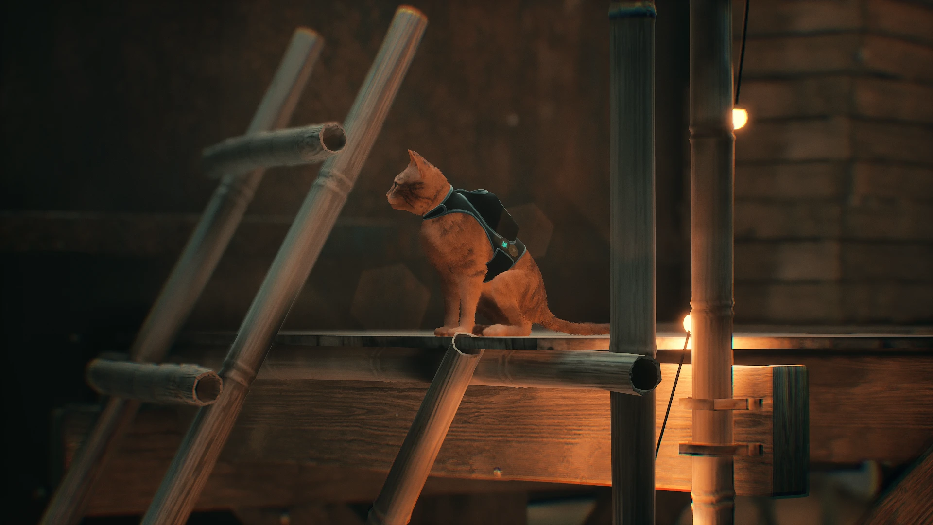 Stray "Фоторежим"