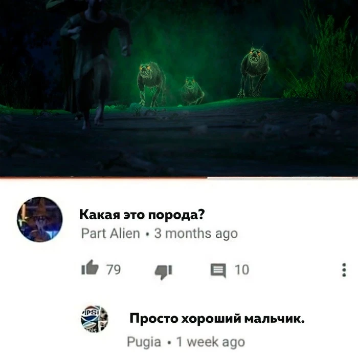 Порода - хороший мальчик