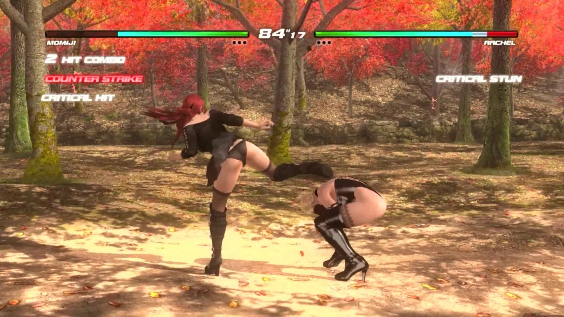 Бой Момиджи и Рэйчел из Dead or Alive 5 Last Round, управляемых автокликером