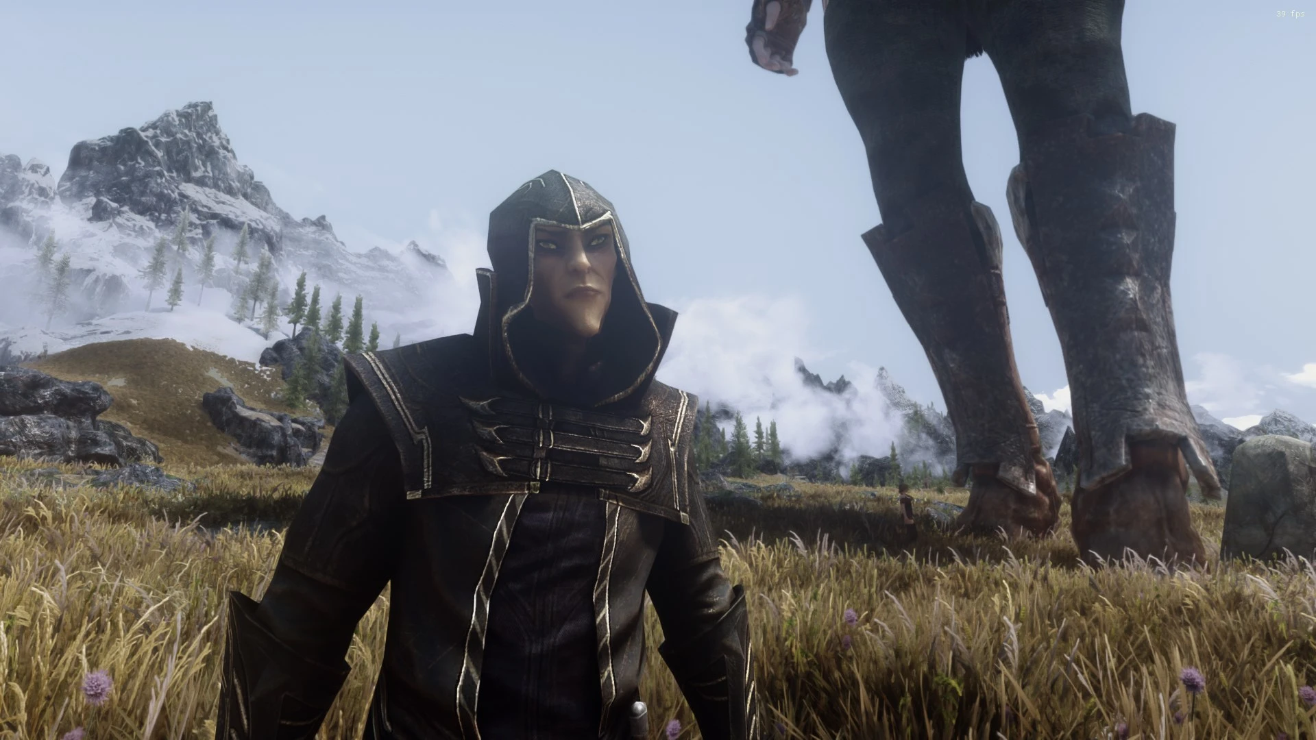 Skyrim SE "Мод на гигантов"