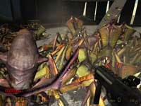 Half-Life 2 "A troopers"