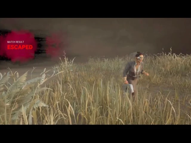 Это тот самый третий выход в ДБД?