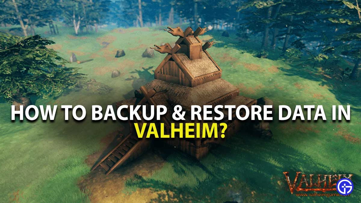 Valheim "Резервное копирование миров и Персонажей 1.0"