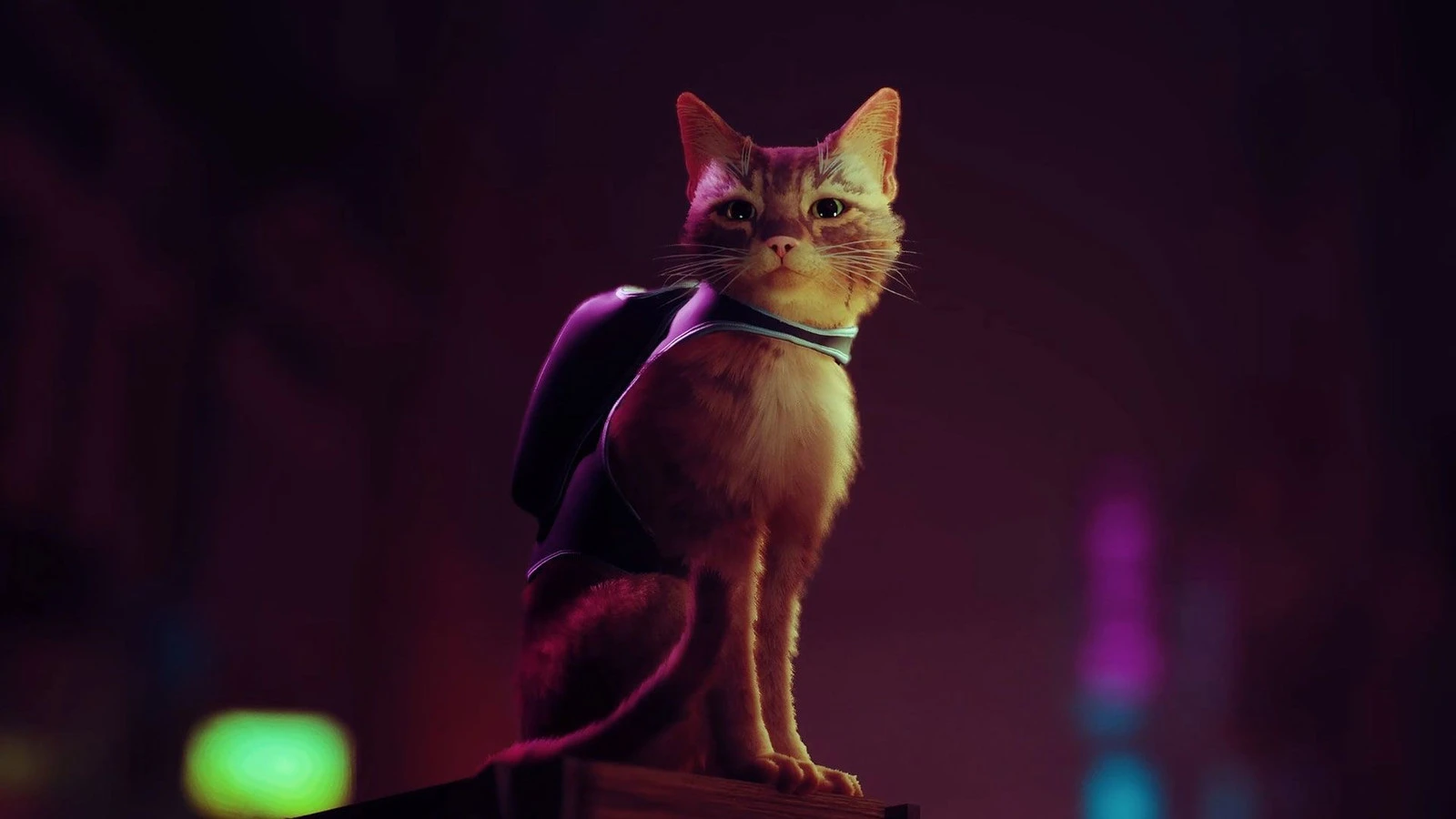 Слух: в следующем месяце подписчики PS Plus Essential получат Stray