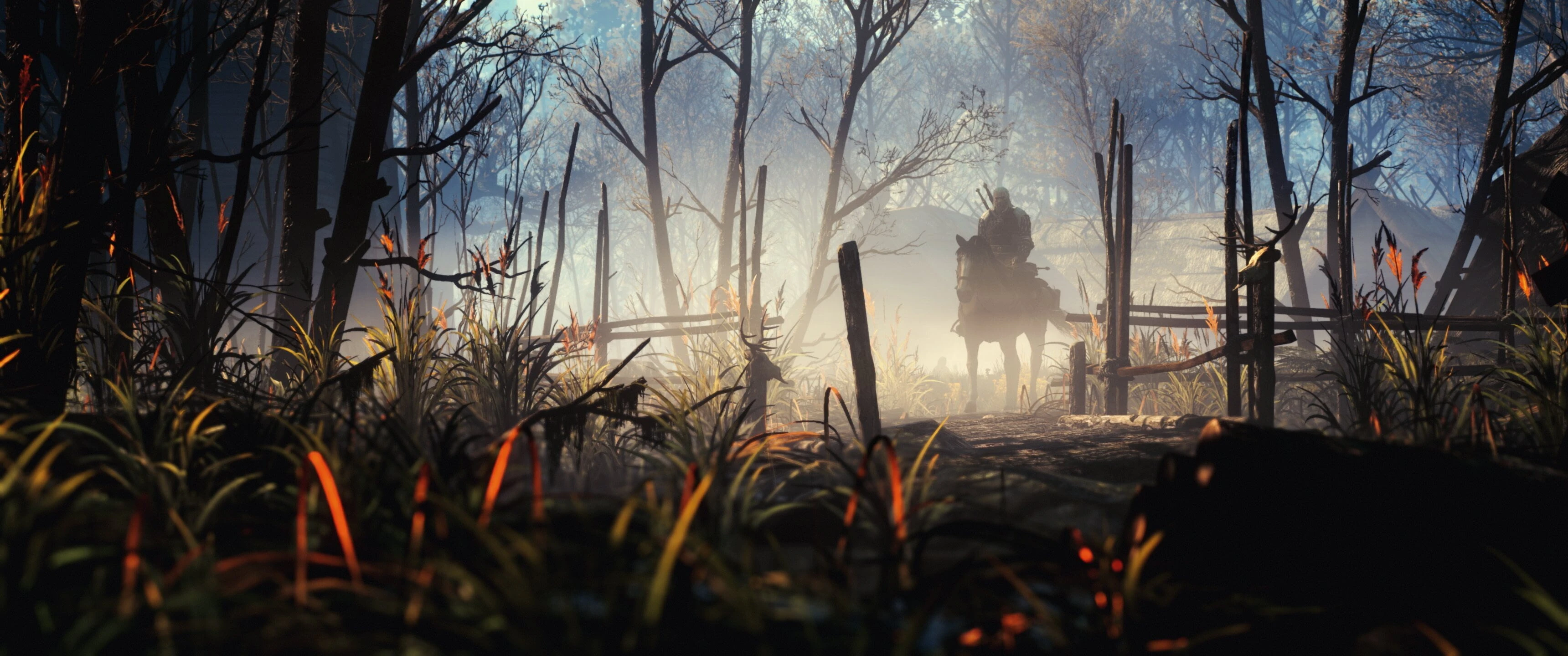 СD Project RED опубликовали работы победителей конкурса скриншотов из The Witcher 3: Wild Hunt