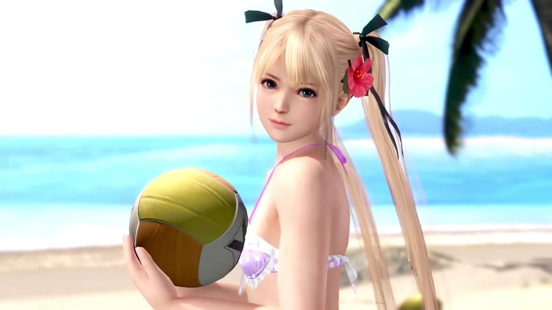 Анонсирована Dead or Alive Xtreme: Venus Vacation