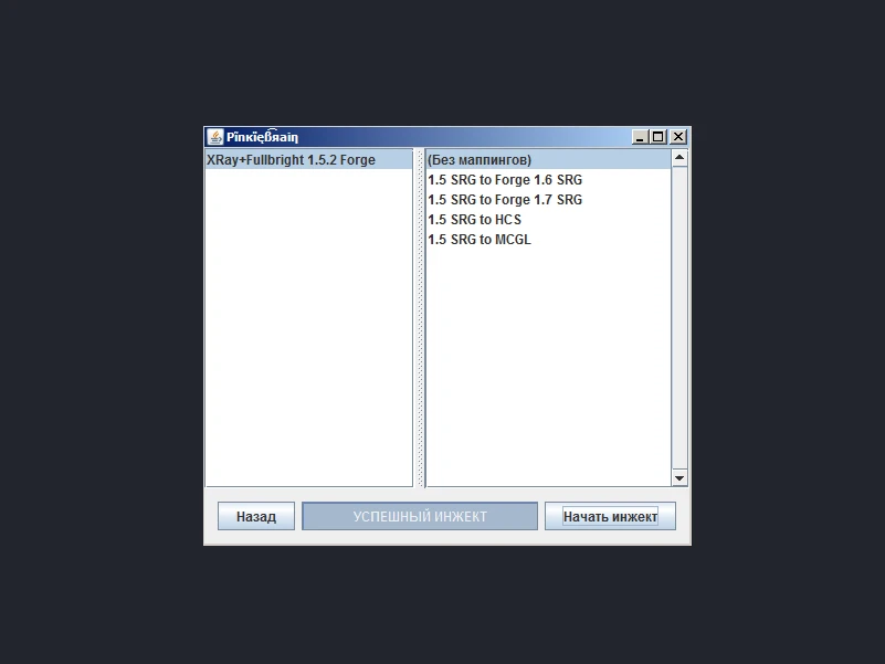 Minecraft "Инжектор PinkieBrain"