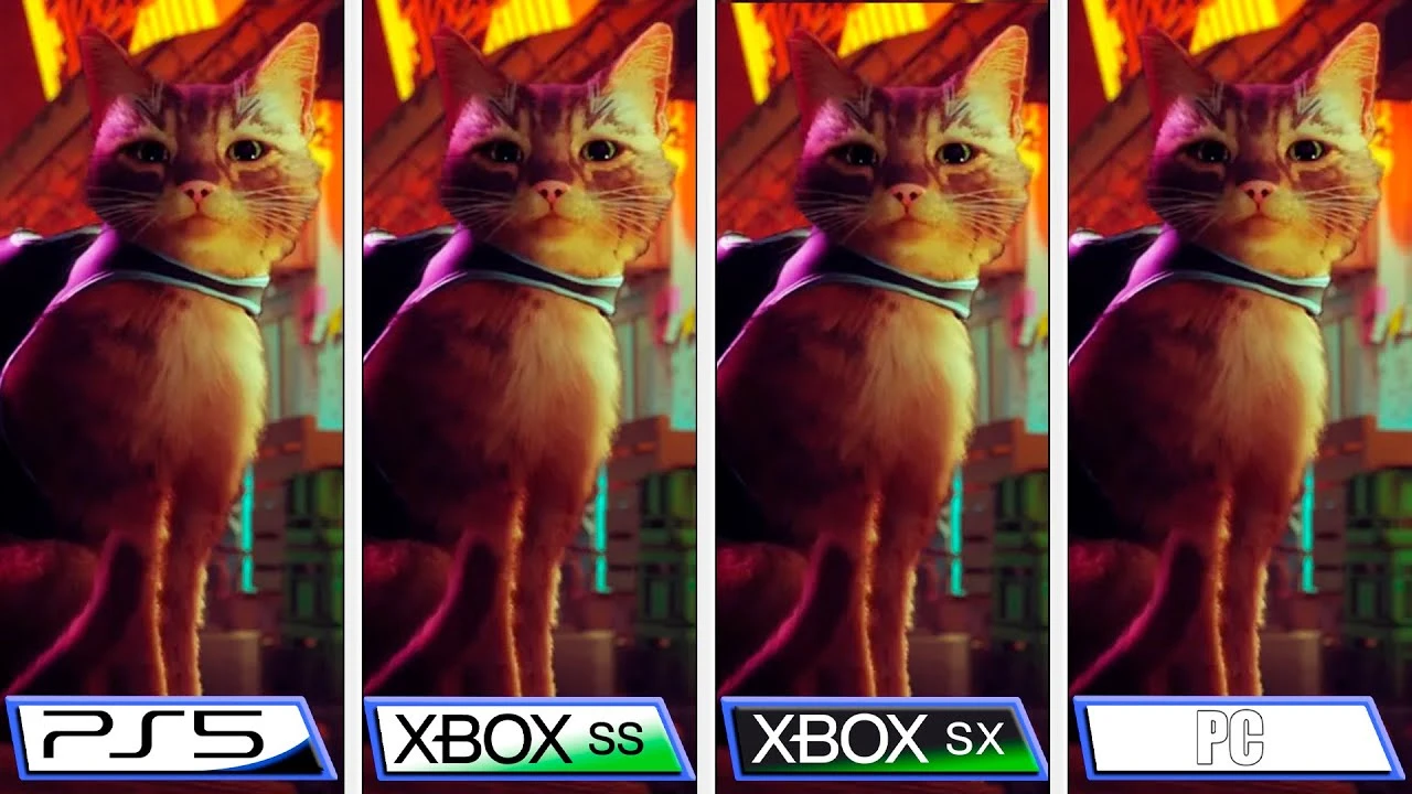 Много котеек не бывает: кошачье приключение Stray сравнили на Xbox Series X и S, PS5 и ПК