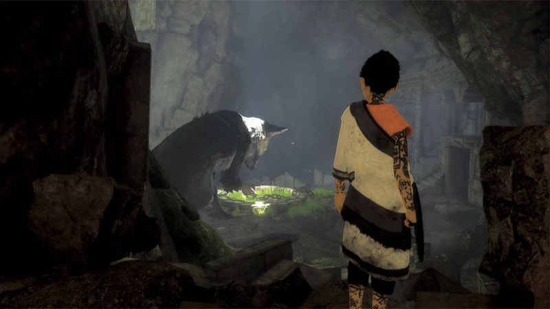 Затянувшаяся разработка The Last Guardian стала для создателя игры неожиданностью