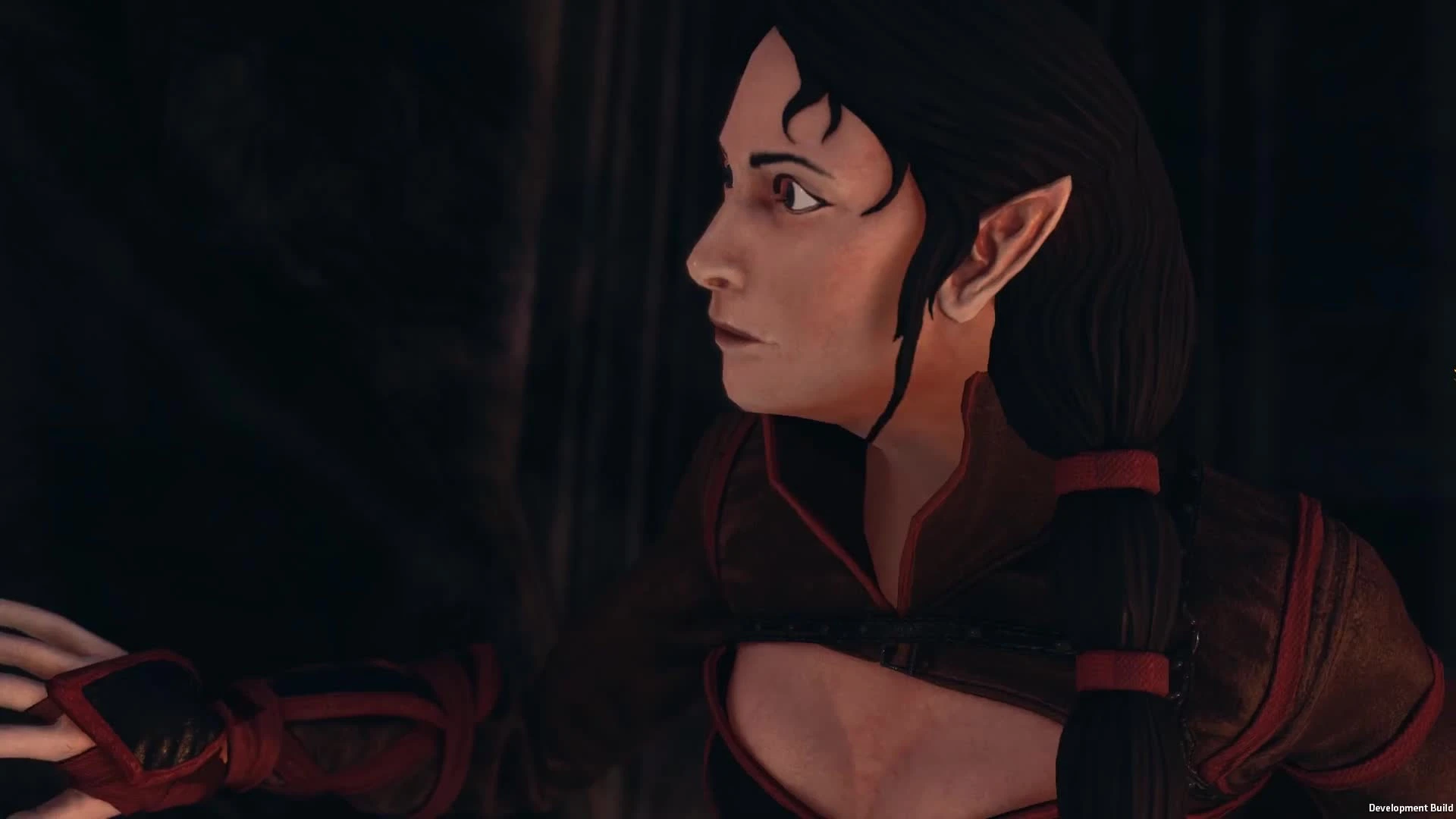 The Dwarves "Новый трейлер посвященный Наморе, новому игровому персонажу"