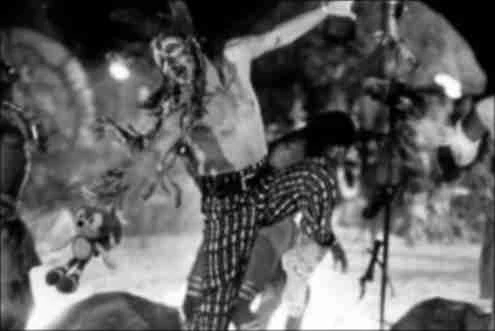 У амазонского племени нашли ряд сониковских игрушек