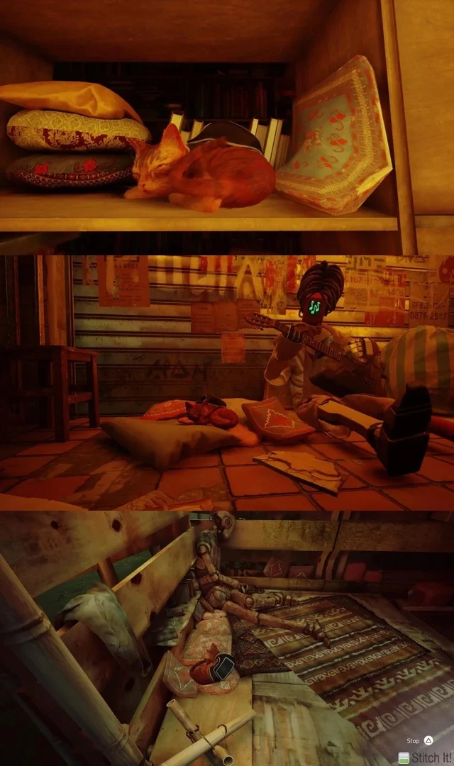 Stray только ради сна