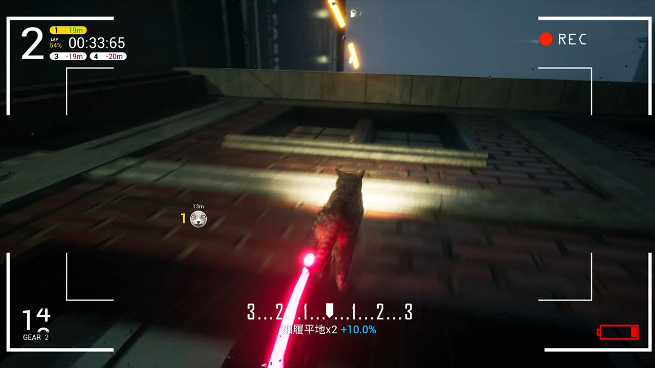 Анонсирована гоночная аркада про кошек - Cat Drift