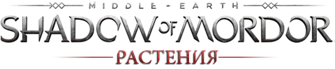 Middle-earth: Shadow of Mordor - Общая информация - Флора и Фауна - Растения