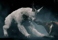 Warframe - Куброу - Sunika