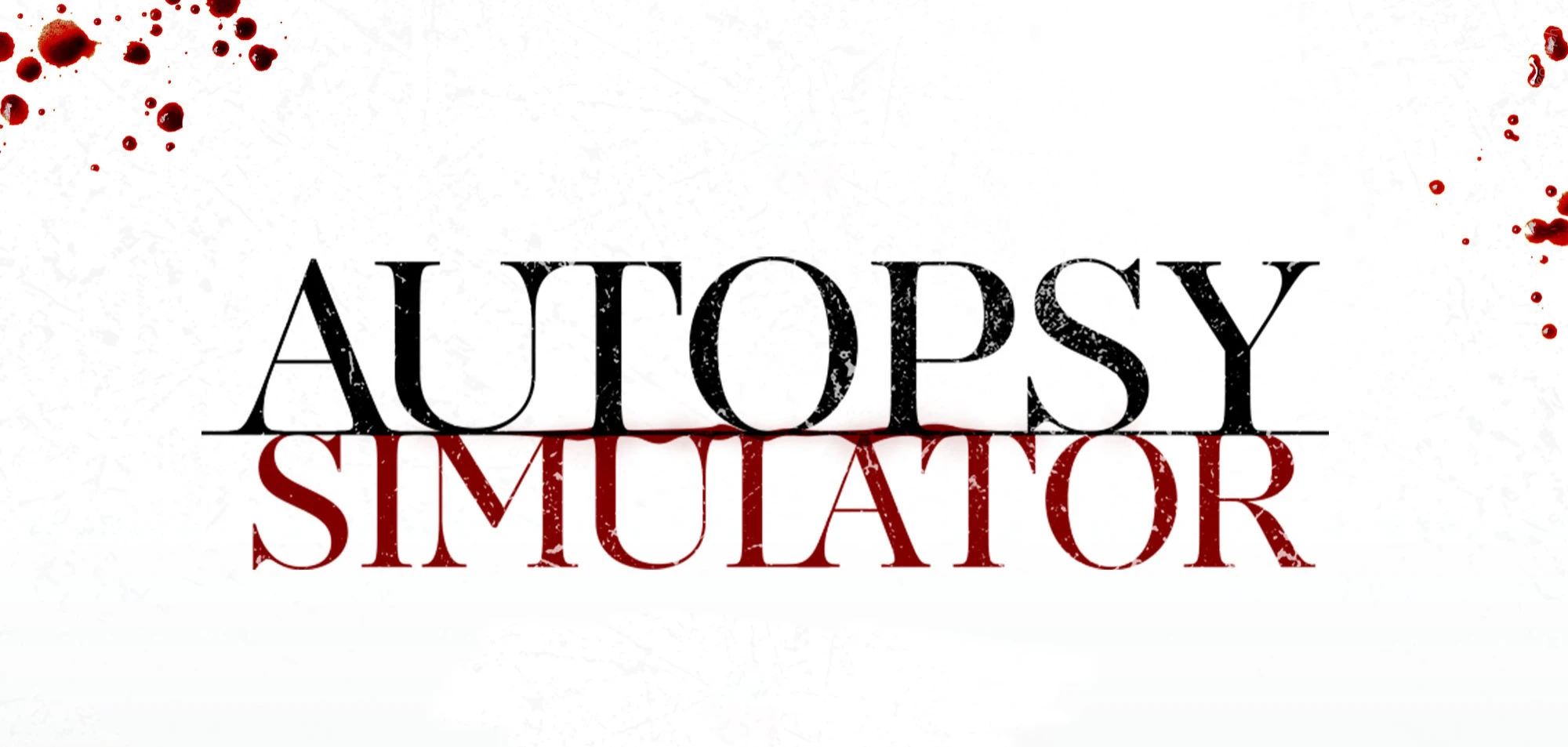 Подробности о релизе и демо-версии