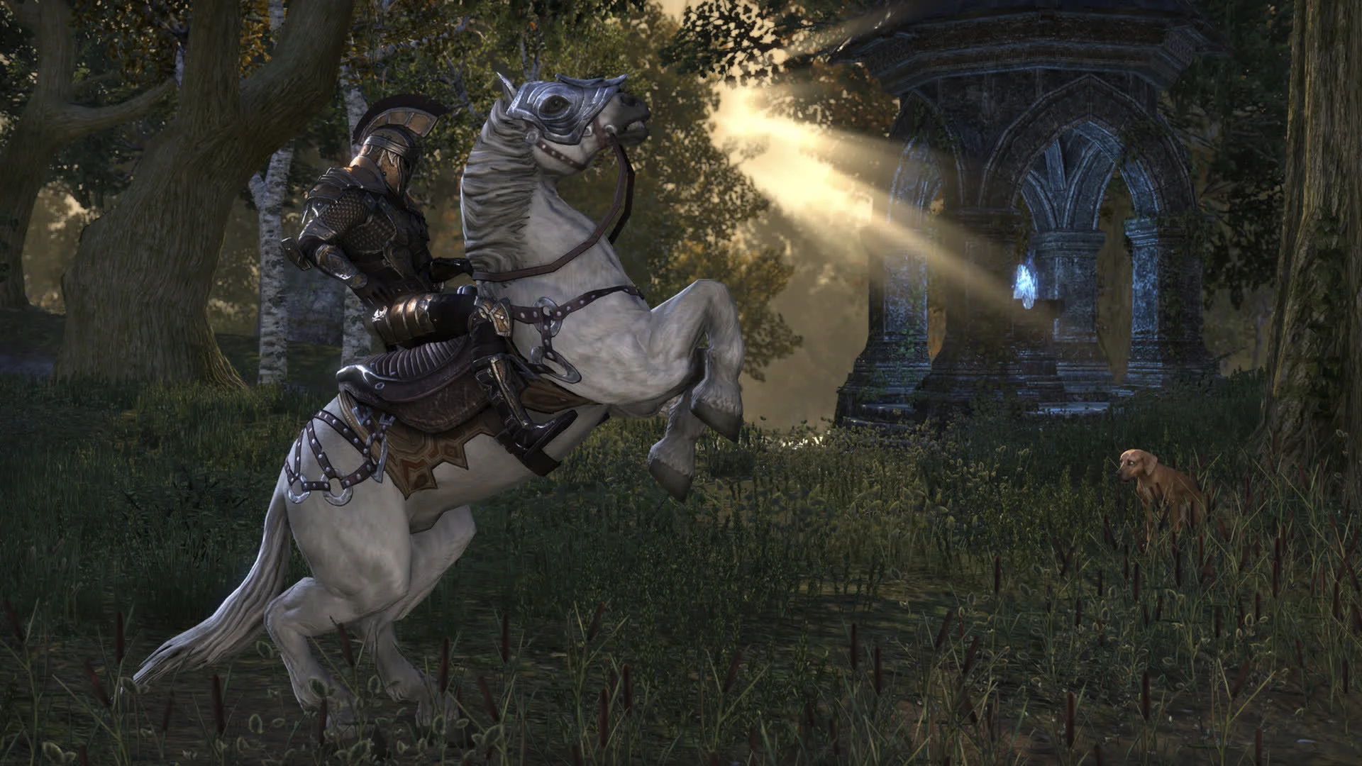 The Elder Scrolls Online преодолела отметку в 21 миллион игроков