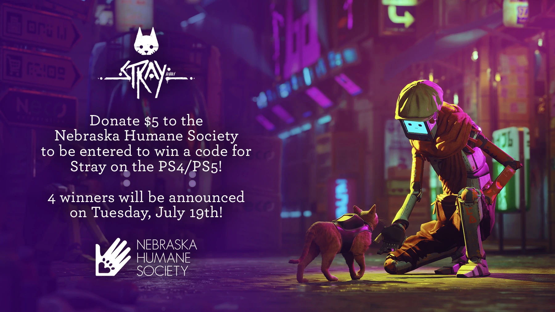 Создатели Stray устроили благотворительную акцию совместно с приютами для животных