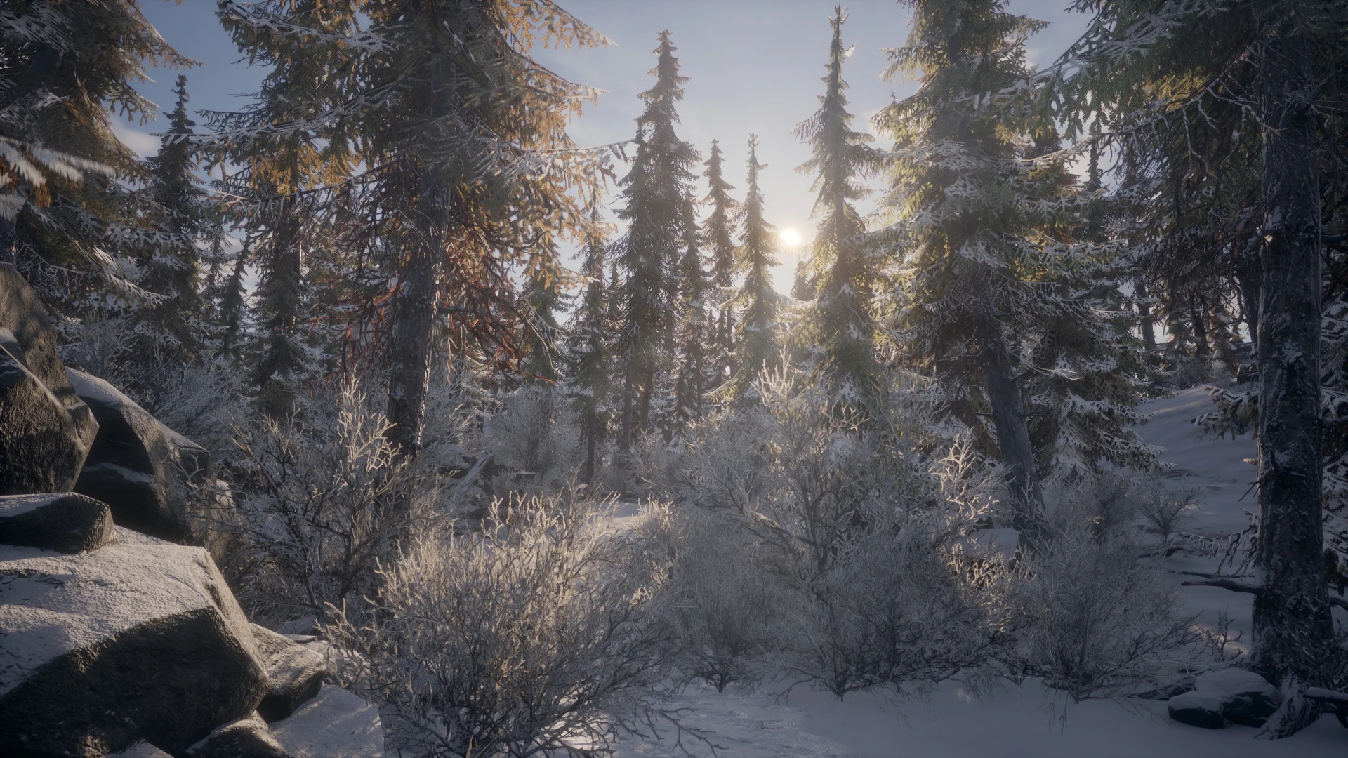 Зимняя тропа в "Храме Зеленой Луны"