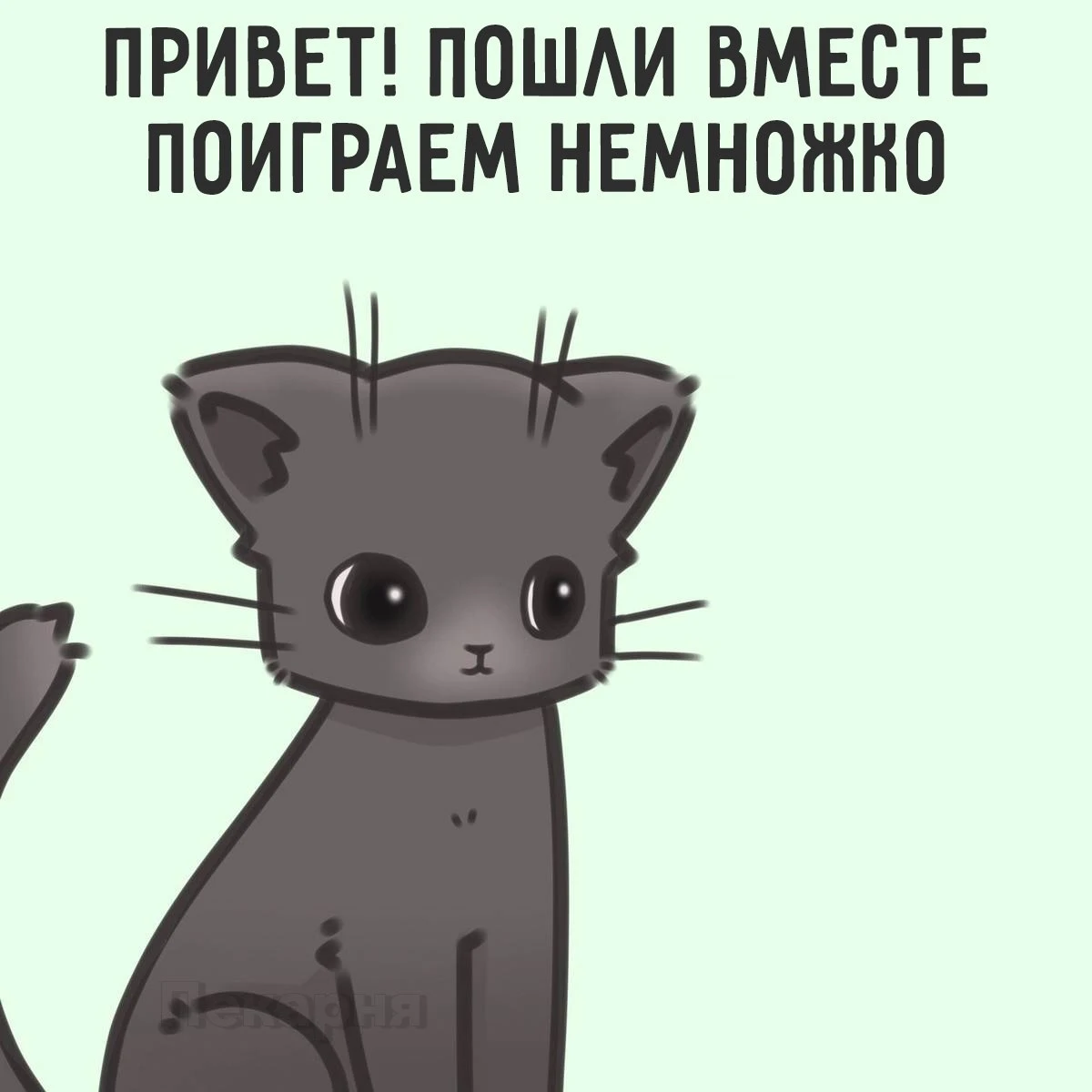 Все мы немного белый кот...