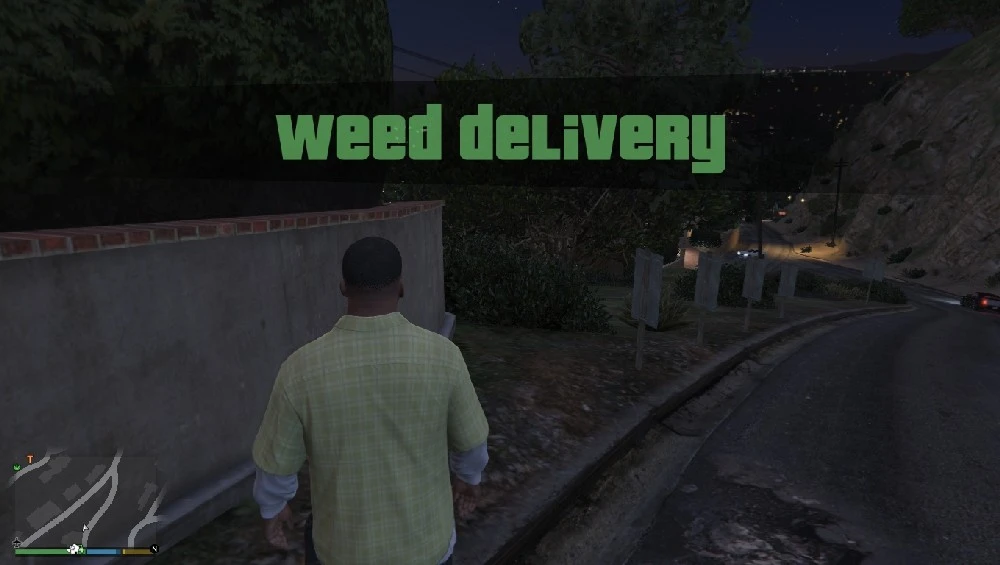 Grand Theft Auto 5 "Покупка оружия из GTA Online" [5.0.1]