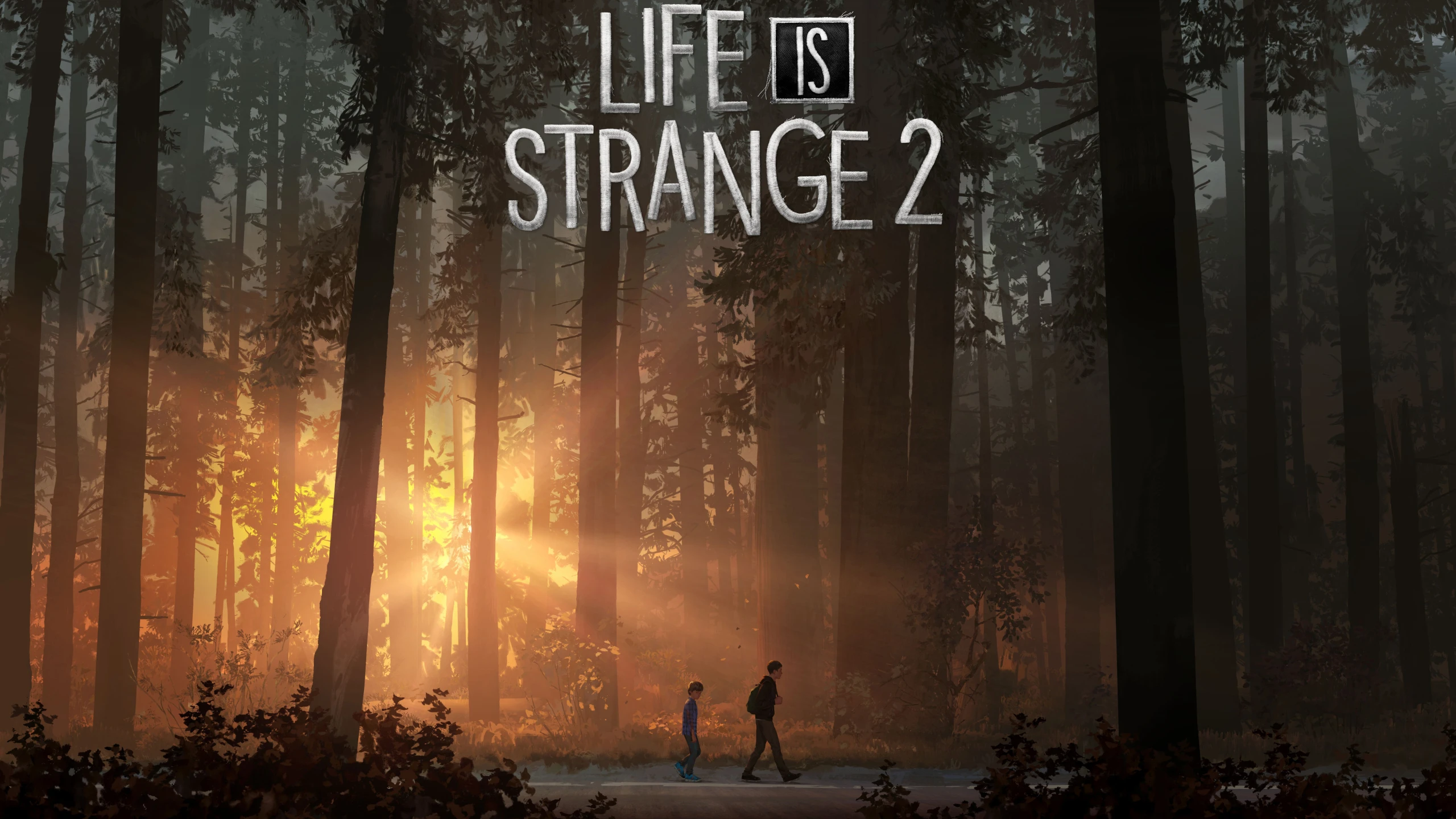 Пиковый онлайн Life Is Strange 2 превысил 400 тыс. - вероятно, из-за ботов