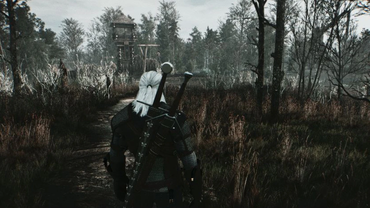 Witcher 3 "Мрачный Ведьмак"