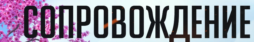 Overwatch - Карты - Сопровождение